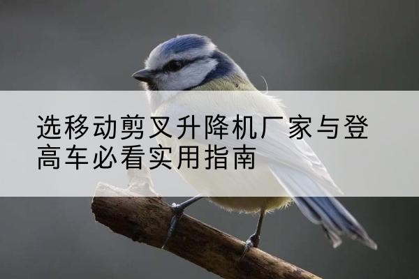 城厢电动升降机厂家-选移动剪叉升降机厂家与登高车必看实用指南