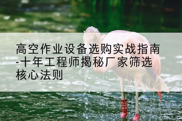 城厢剪叉式升降机厂家-高空作业设备选购实战指南-十年工程师揭秘厂家筛选核心法则