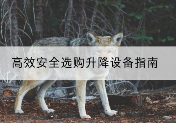 城厢升降货梯厂家推荐-*安全选购升降设备指南