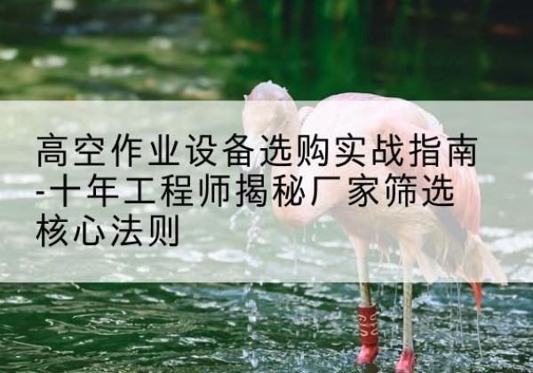 城厢剪叉式升降机厂家-高空作业设备选购实战指南-十年工程师揭秘厂家筛选核心法则