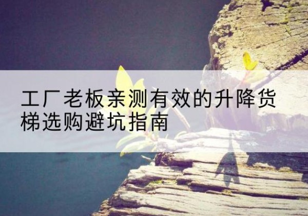 城厢升降货梯怎么选-工厂老板亲测有效的升降货梯选购避坑指南
